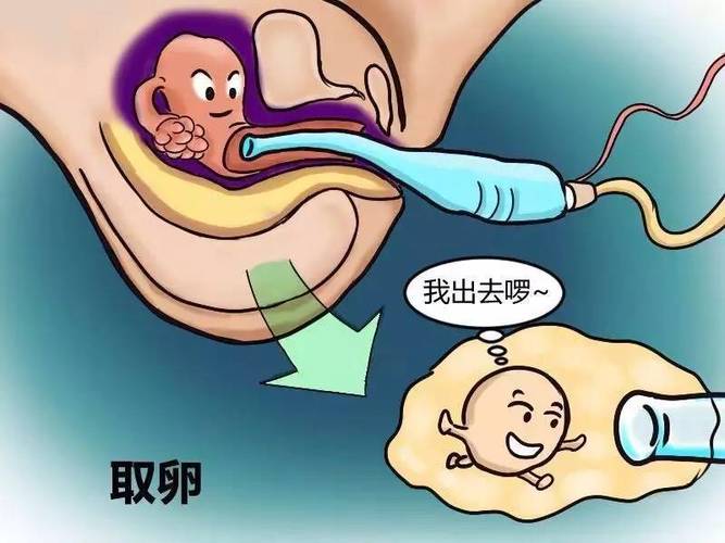 借卵试管代怀包男孩_借卵试管代怀包男孩的故事