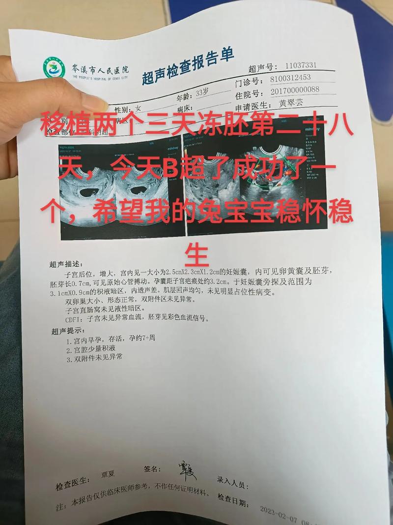 借卵试管代怀信息(借卵试管代怀:一种新的生育选择方式)