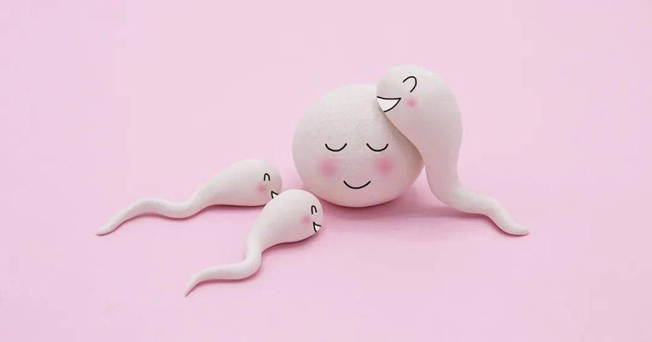 借精生子流程_借精生子流程:一种新的生育选择方式