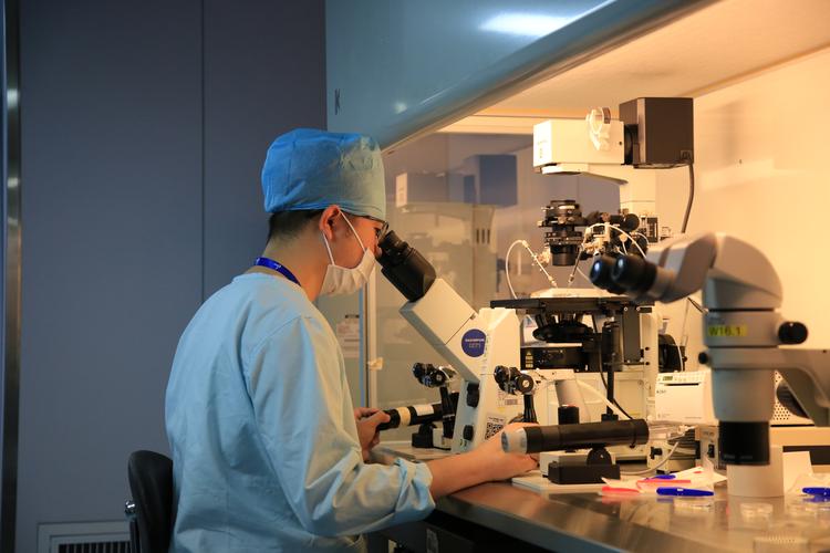 大学生有没有试管代怀的_大学生试管代怀争议调查